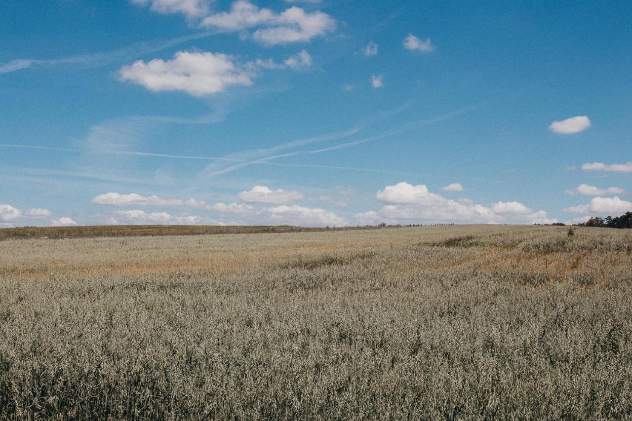 Agroturystyka Pod Debem Łagów 外观 照片